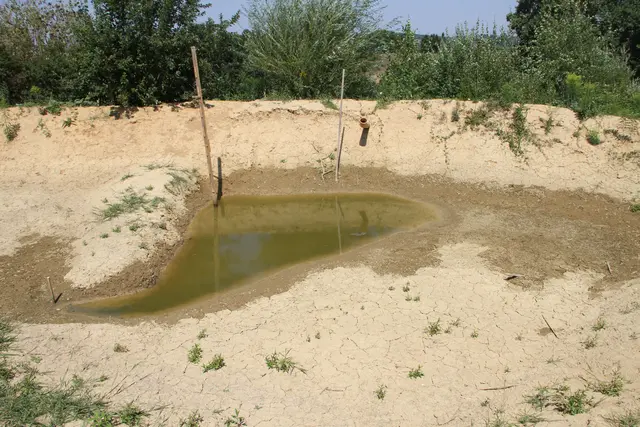 Wasser in der Landschaft zu halten, ist für Cambium und das Projekt Georgia eine der wichtigsten Säulen im Wassermanagement. | Foto: MeinBezirk/Gerda Sammer-Schmidt