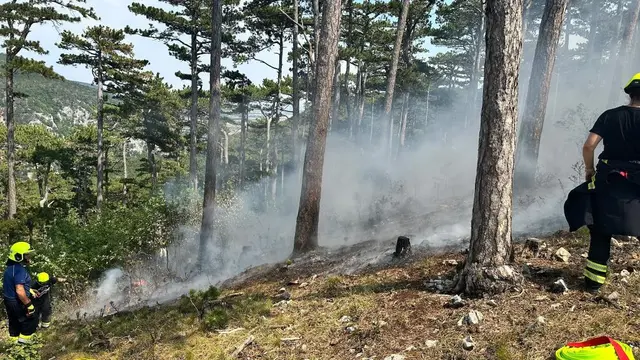 Seit 13 Uhr wütet ein Waldbrand in Winzendorf. | Foto: Foto: Roland Groll