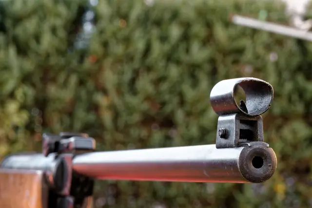 Die zwei Jugendlichen gaben schließlich zu, dass der 15-Jährige mit dem Luftdruckgewehr auf die 15-Jährige geschossen haben soll. (Symbolfoto) | Foto: pixabay / Bru-nO