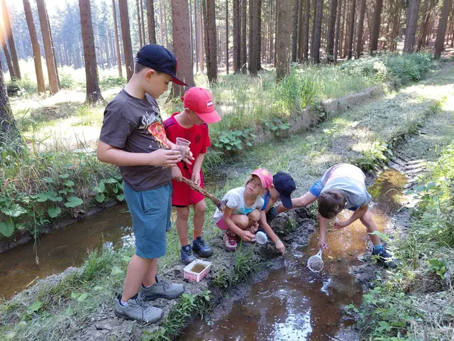 Die 22 Kinder erlebten beim Naturpark-Feriencamp eine abwechslungsreiche Woche mit zahlreichen Abenteuern in der Natur. | Foto: Naturpark Jauerling