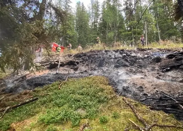 Fast 50 Helfer waren am Einsatz beteiligt.