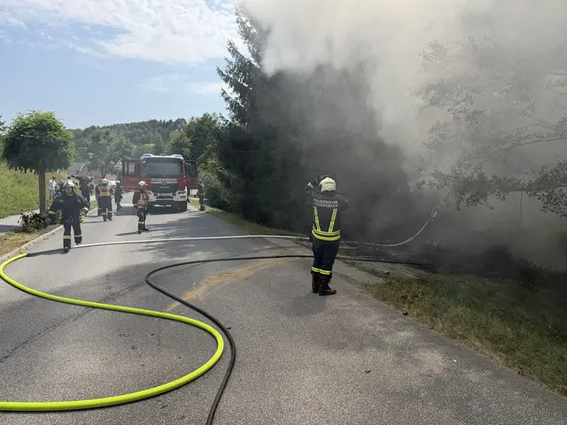 Die Feuerwehr Stegersbach stand mit 17 Feuerwehrmitgliedern sowie vier Fahrzeugen rund zwei Stunden im Einsatz. | Foto: Bezirksfeuerwehrkommando Güssing