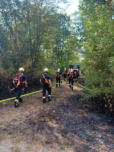 Die Feuerwehr brachte den rund 2,5 Hektar großen Wald- und Vegetationsbrand im Föhrenwald rasch unter Kontrolle. | Foto: FF Wr. Neustadt