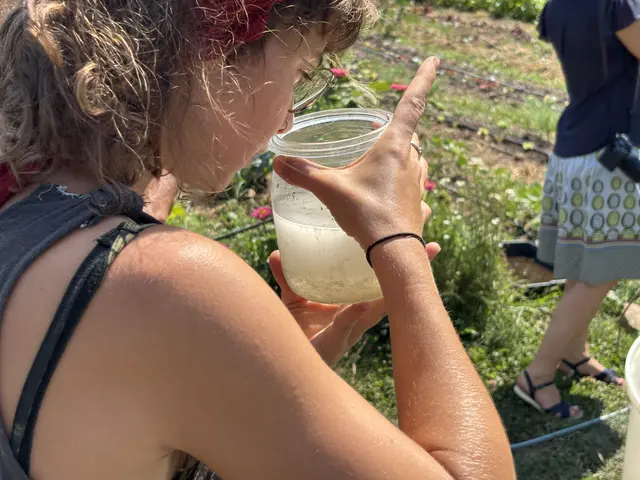 Sogenanntes Schwarzwasser und weitere Reinigungsstufen werdenintensiv beforscht. | Foto: MeinBezirk/Gerda Sammer-Schmidt