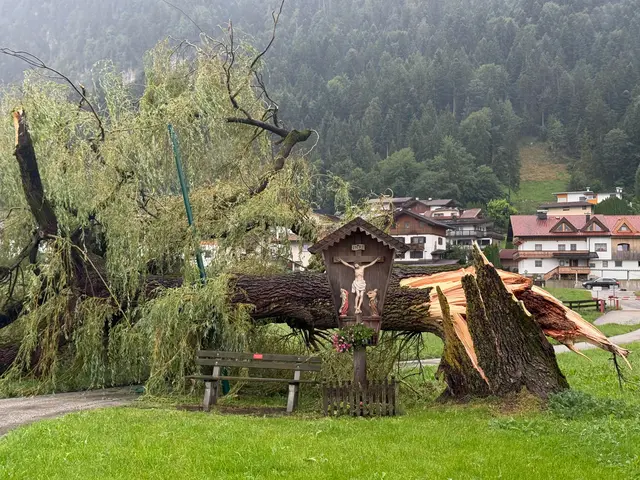 Ein „Wahrzeichen“ der Gemeinde, eine schöne uralte Trauerlinde, hielt den starken Sturmböen nicht stand und wurde umgerissen. | Foto: Zoom Tirol
