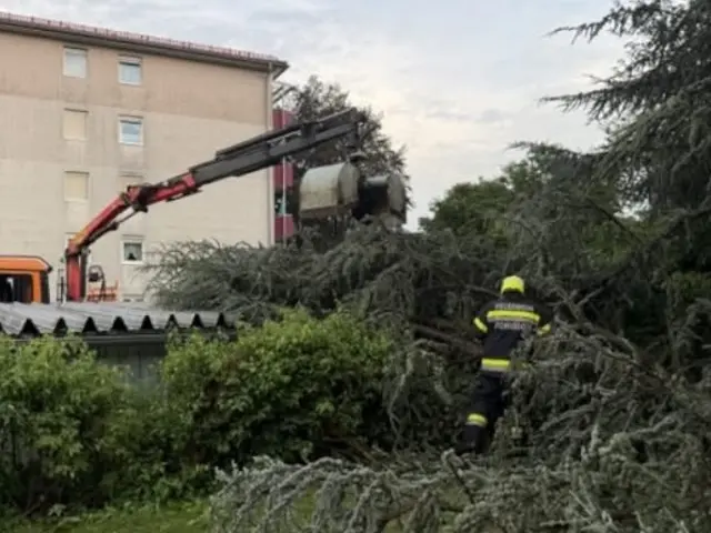 Mehrere Bäume sind auf eine Garage gestürzt.
