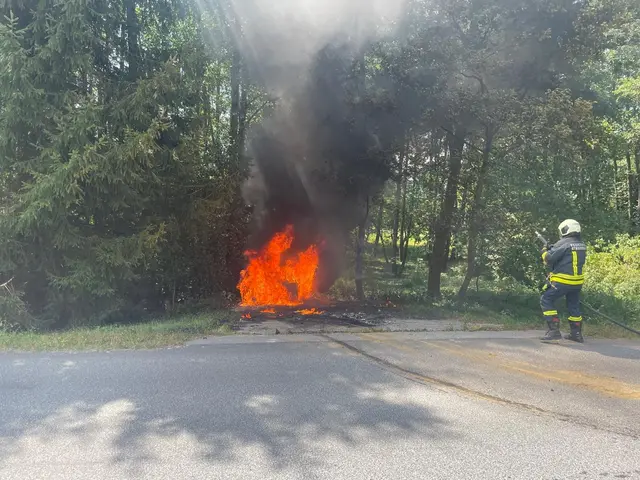 Ein Pkw stand in Stegersbach in Vollbrand. Das Feuer griff auf ein Waldstück über. | Foto: Bezirksfeuerwehrkommando Güssing