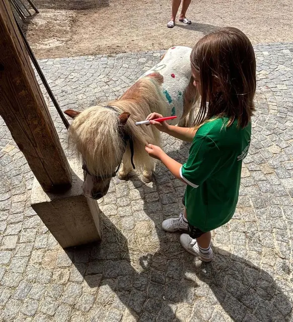 Foto: SK Eggenburg