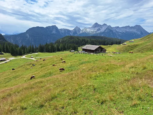 Mensch, Tier und Natur im Gleichgewicht: Die Kulisse der Umweltbaustelle im Salzburger Land | Foto: Yaryna Patii