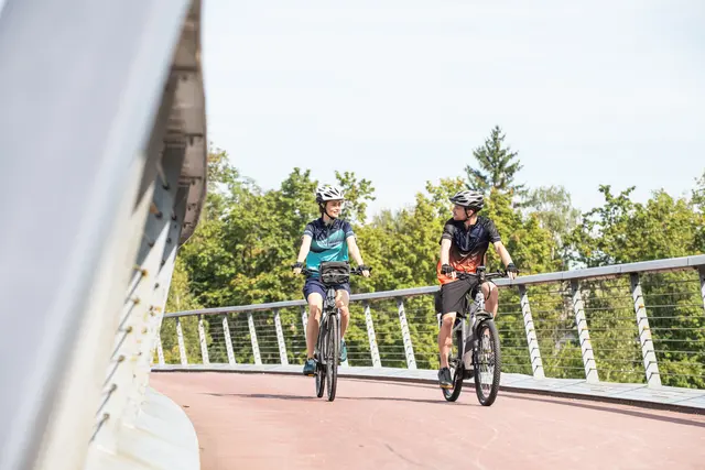 Eine Idee, um den Öffi-Sperren und Baustellen auf Wiens Straßen zu entgehen, ist das Fahrrad.  | Foto: Firmenradl