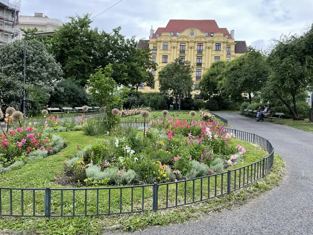 Der Aumannplatz wird neugestaltet. Die Umgestaltung führte zu einer Petition. | Foto: Johannes Reiterits