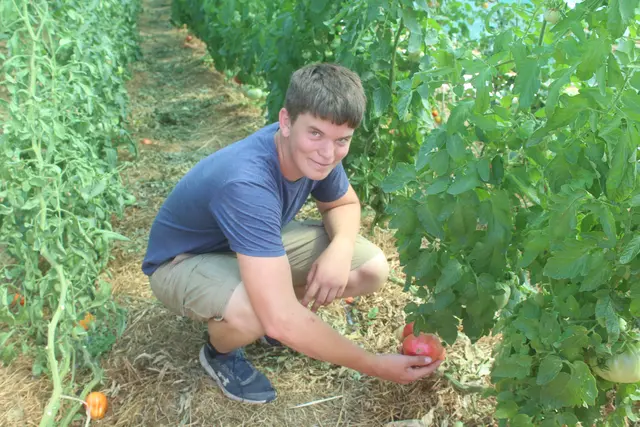 Foto: arbes
