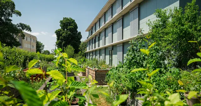 Die Stadt Salzburg hat das Gebäude mit Außenjalousien ausgestattet. Im Herbst werden zwei zusätzliche Bäume von den Stadtgärten gepflanzt. | Foto: Stadt Salzburg/Alexander Killer