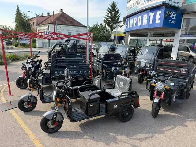 Der 600-Watt-Elektromotor sorgt für eine umweltfreundliche und leise Fortbewegung bis 25 km/h. | Foto: Kainrath