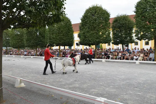 Foto: Claudia Bräuer