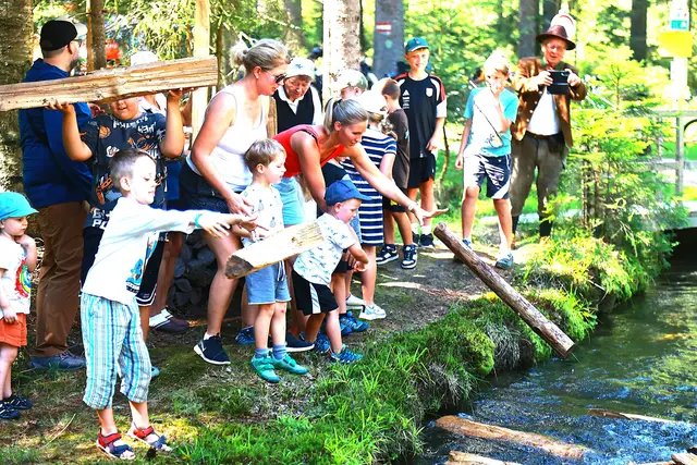 Foto: Werner Gattermayer