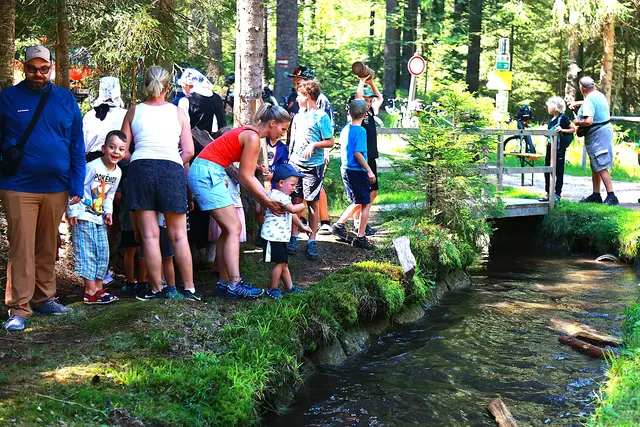 Foto: Werner Gattermayer