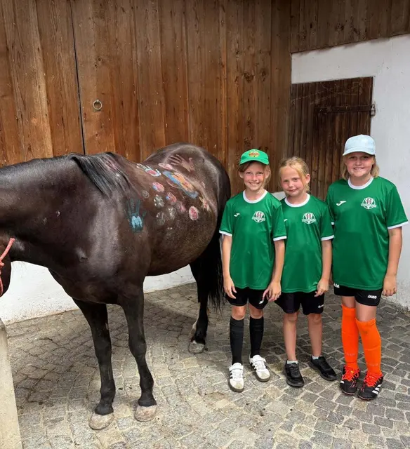 Foto: SK Eggenburg