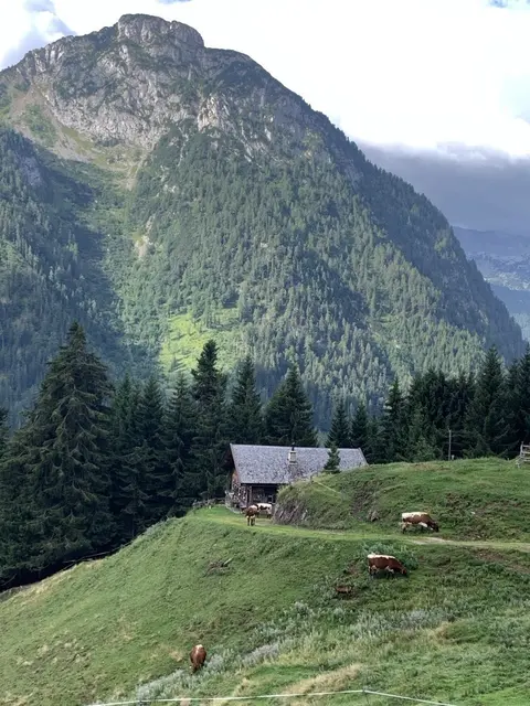 Foto: Yaryna Patii