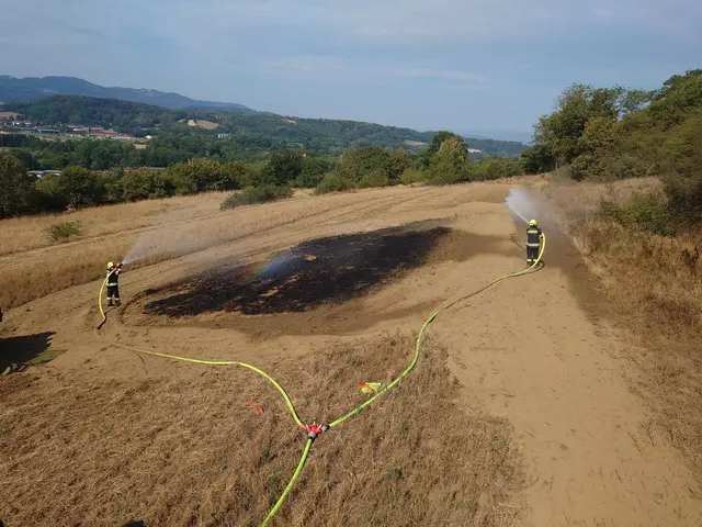 Die Feuerwehren konnten den Vegetationsbrand bei Loosdorf rasch unter Kontrolle bringen.
 | Foto: DOKU-NÖ