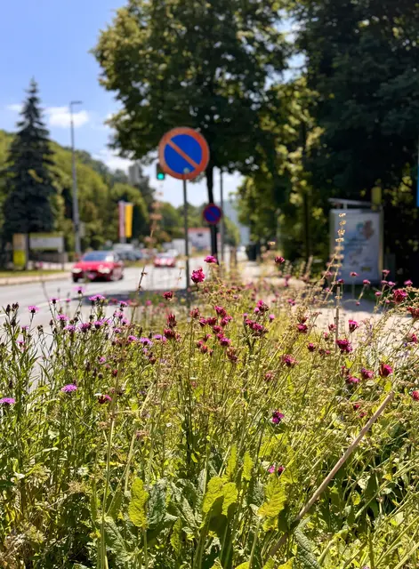 Foto: Ladenstein