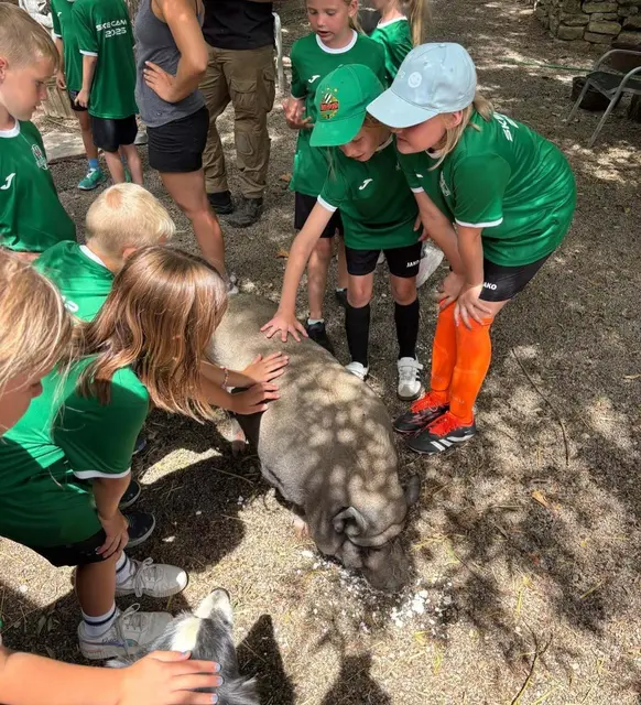 Foto: SK Eggenburg