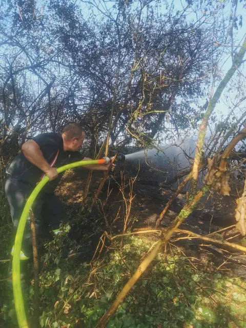 Dichter Bewuchs, schwer zugängliches Gelände und die sommerliche Hitze erschwerten die Löscharbeiten beim Flurbrand in Lackenbach erheblich. | Foto: FF Unterfrauenhaid