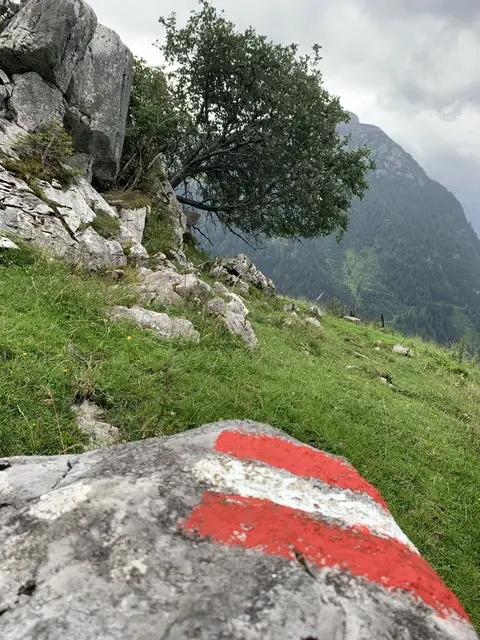 Wegweiser für den Naturschutz: Orientierung auf den steilen Pfaden des Naturparks. | Foto: Yaryna Patii