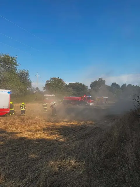 Acht Feuerwehren mit rund 150 Einsatzkräften kämpften am Sonntag gegen einen großflächigen Flurbrand in Lackenbach. | Foto: FF Unterfrauenhaid