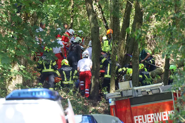 Bei Arbeiten mit der Motorsäge wurde ein 48-Jähriger aus dem Bezirk Grieskirchen heute, 1. August 2026, schwer verletzt. | Foto: laumat/Matthias Lauber