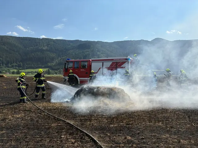 Rund 100 Kräfte des Feuerwehrabschnittes Mautern standen am Montag bei der Bekämpfung eines Ackerbrandes im Einsatz.  | Foto: FF Mautern
