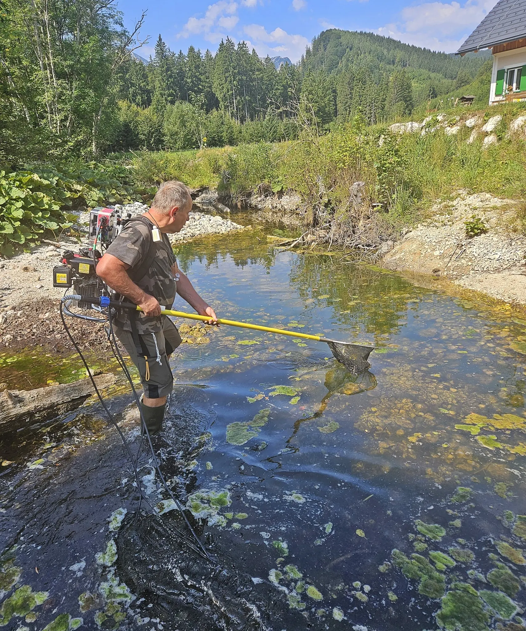 Notabfischung in Ebensee: 722 Fische aus dem Langbathbach gerettet - ...