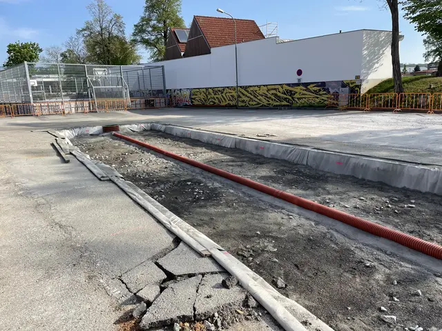 Damals zählte das Projekt in Horn zu einem Pilotprojekt, es gab nicht viele Schwammstädte in der Umgebung. | Foto: Manfred Daniel