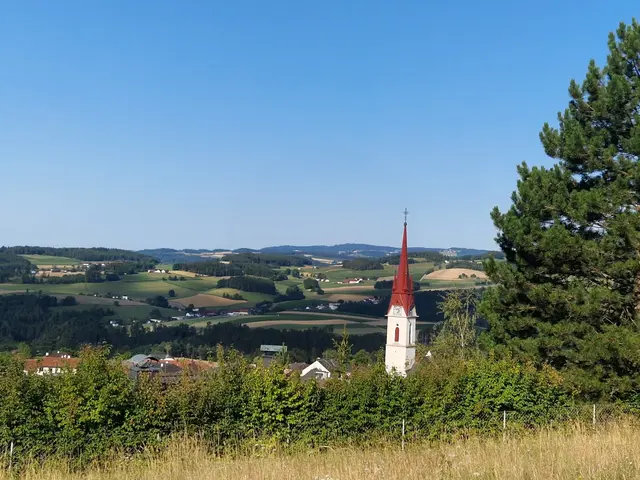 Der Tannberg in Neumarkt im Mühlkreis. | Foto: Denkmaier