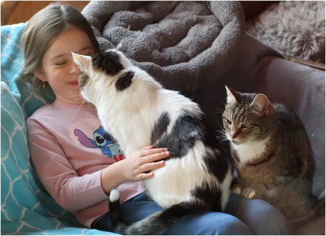 Gerettete, alte und  kranke Katzen verbringen dort ihren Lebensabend, können aber auch adoptiert werden. Immer ein Highlight für meine Enkelin/ Gut Aiderbichl