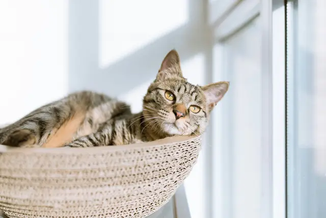 Symbolbild. | Foto: Unsplash / Eric Han