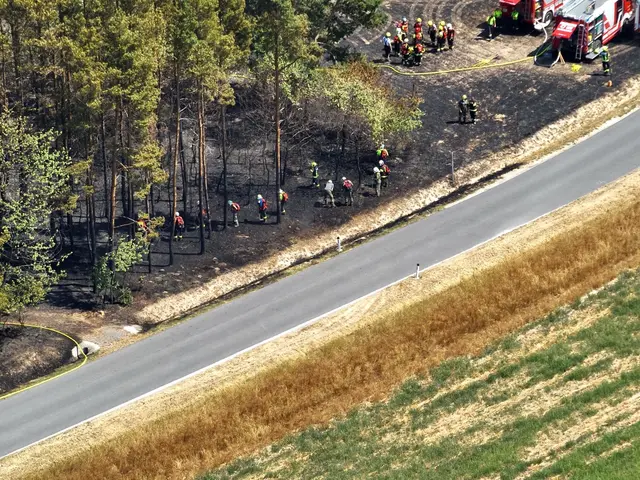 23 Einheiten bekämpfen derzeit den Waldbrand bei Sieggraben. | Foto: FFRust