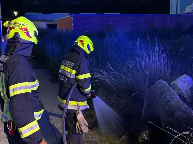 Die FF Bärnbach konnte einen beginnenden Wiesenbrand rasch löschen. | Foto: FF Bärnbach