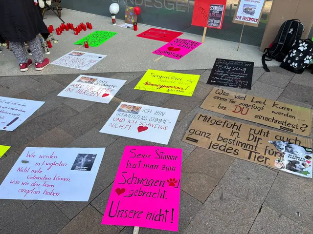 Vor dem Landesgericht in Innsbruck versammelten sich zahlreiche Menschen und teilten ihre Botschaften mit. | Foto: MeinBezirk/Geineder