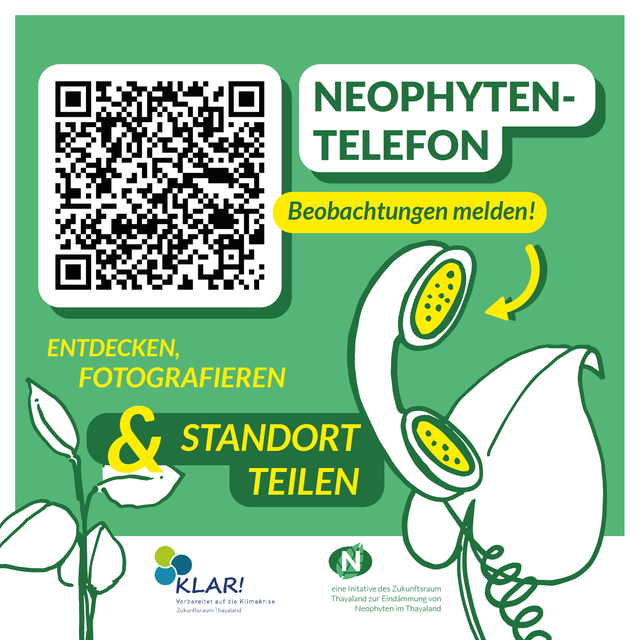 Neophyten-Telefon: Jede Meldung hilft dabei, die Situation in der Region besser einzuschätzen und zukünftige Maßnahmen gezielt zu planen. | Foto: Zukunftsraum Thayaland