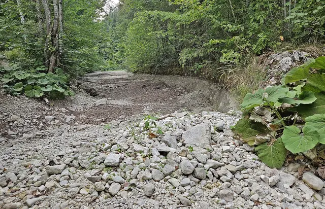In gewissen Bereichen gab es gar kein Wasser mehr im Flussbett. | Foto: Hörmandinger