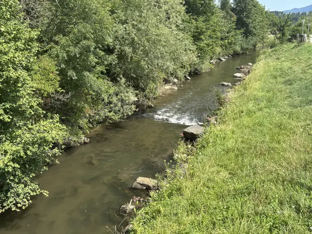 Die Glan leidet unter Trockenheit und Hitze – während der Wasserstand sinkt, steigt der Druck auf ihre Bewohner. | Foto: MeinBezirk/Katja Pagitz