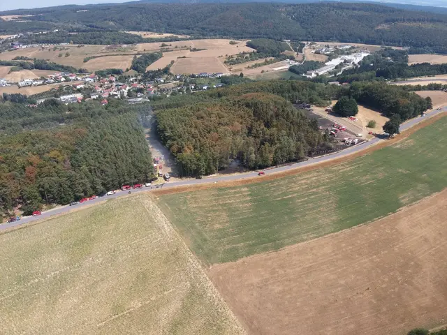 23 Einheiten bekämpfen derzeit den Waldbrand bei Sieggraben. | Foto: FF Rust