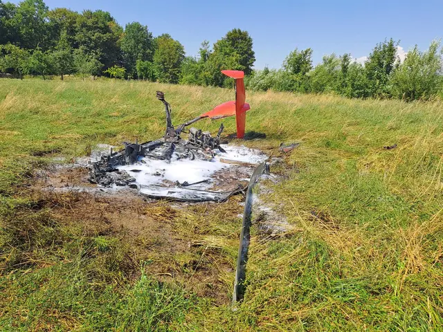 75 Feuerwehrmitglieder rückten gemeinsam mit Rettung und Polizei zum Gyrocopter-Absturz nach Seitenstetten aus.
 | Foto: Bezirksfeuerwehrkommando Amstetten