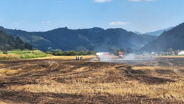 Aus bislang ungeklärter Ursache geriet am Montag ein abgeerntetes Feld bei Kammern in Brand.  | Foto: Roland Theny