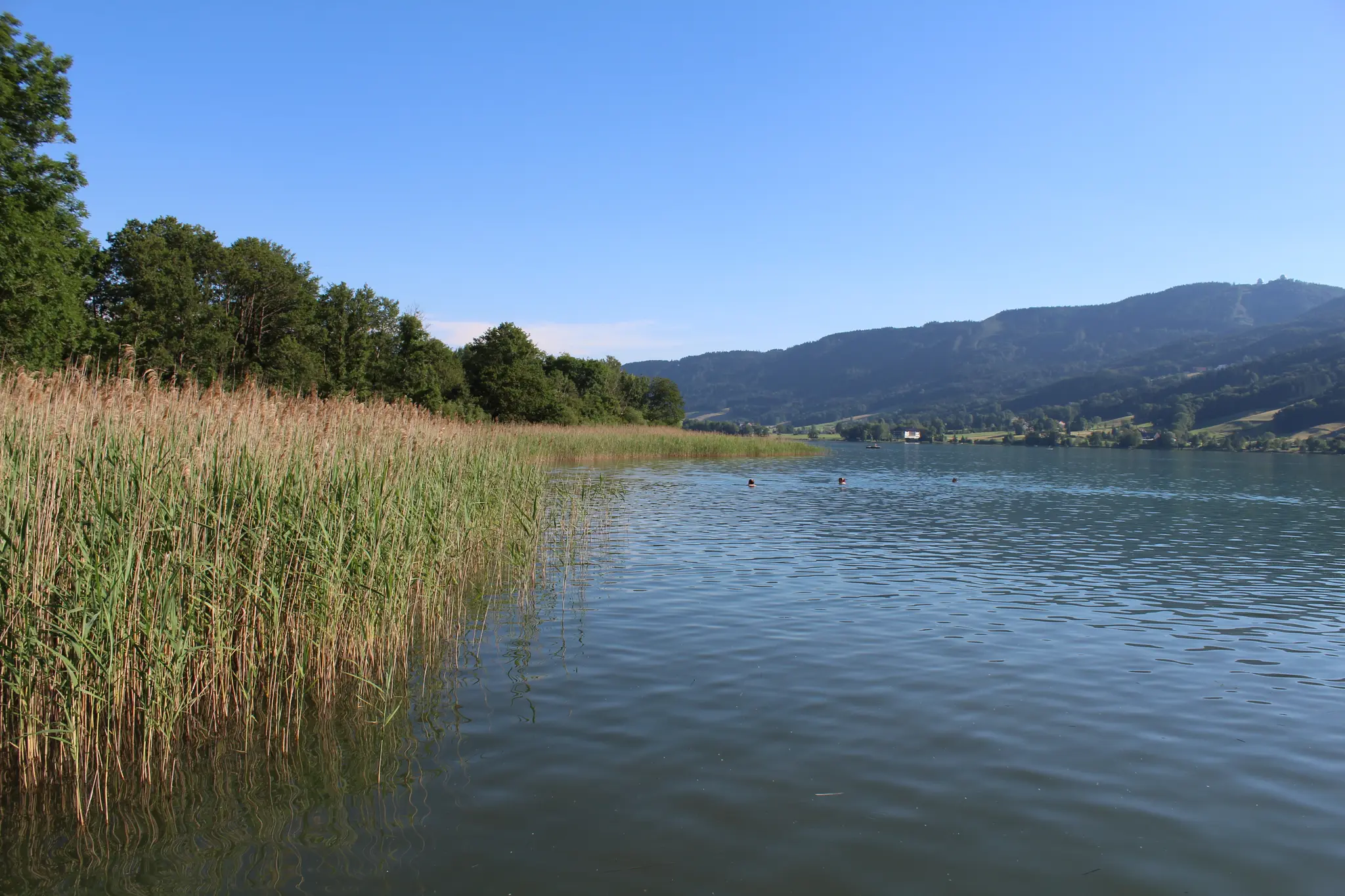 Badeunfall vermutet: Suchaktion am Irrsee nimmt glückliches Ende - ...