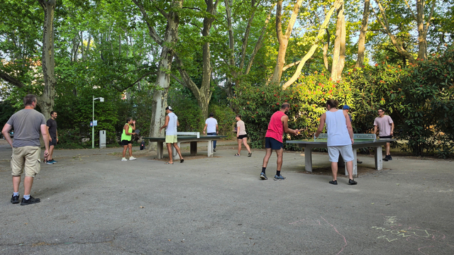 Foto: Tischtennis Hobby Wien