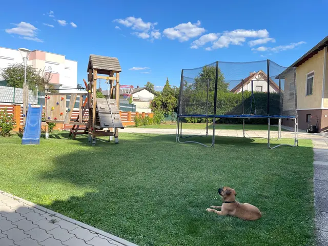 Hund im Familiengarten