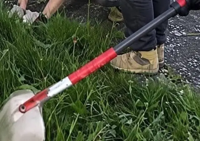 Der Ort der Tierquälerei (Ausschnitt aus dem 56 Sekunden langen Video). | Foto: privat