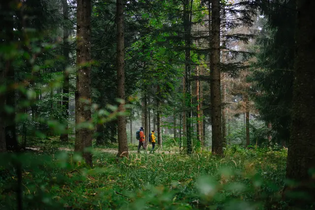 Zwei neue Wanderdörfer: Das Mostviertel als Paradies für alle Naturliebhaber